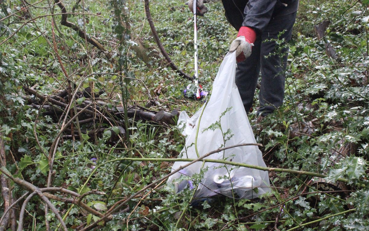 A volunteer litter picking in woodland, filling a bag with cans